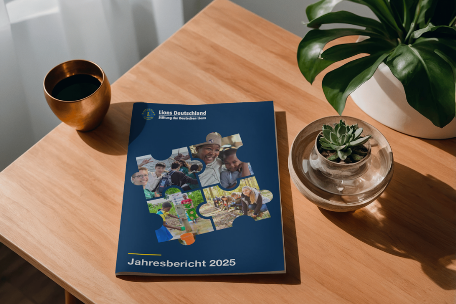 Cover des Jahresberichts der Stiftung der Deutschen Lions aus dem Jahr 2025, Puzzle-Teile mit den Schwerpunktthemen der Stiftung