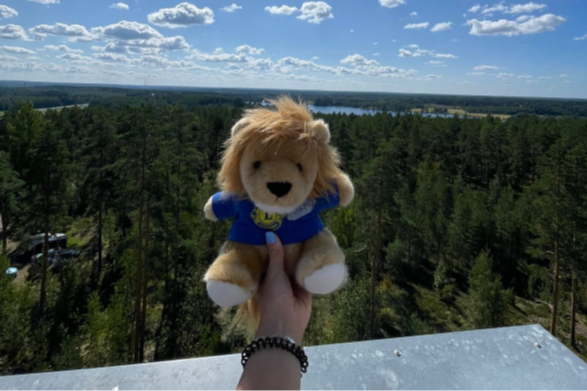 Plüschlöwe mit Lions Polo-Shirt vor einem grünen Wald in Finnland, Sommer