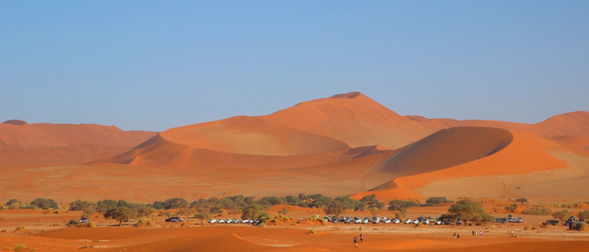 Bild aus Namibia von Pexels, orangener Sand mit Steppenvegetation