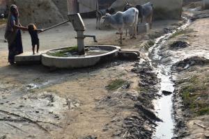 Menschen und Tiere am Brunnen in Indien