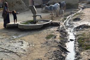 Menschen und Tiere am Brunnen in Indien