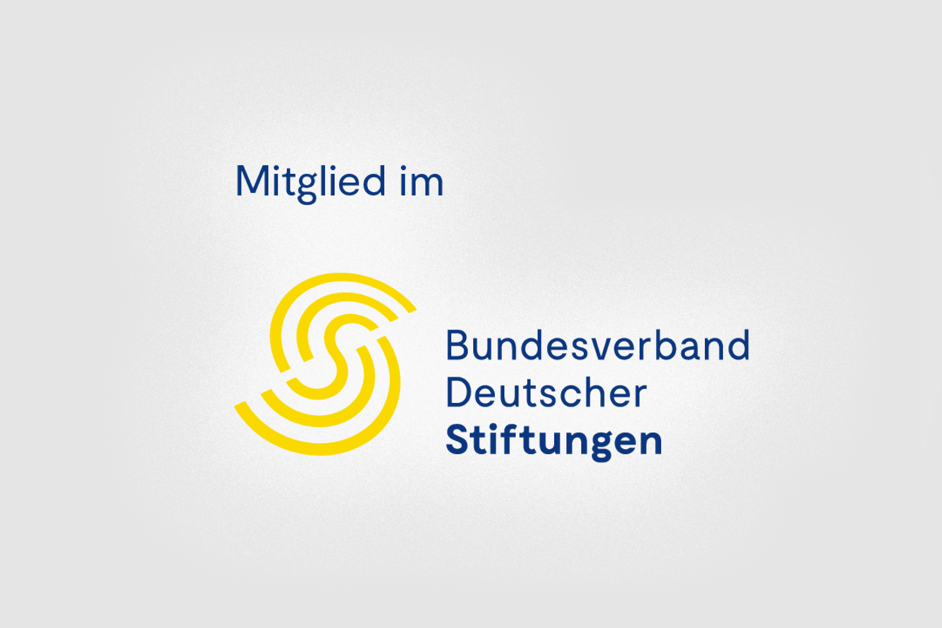 Logo BVDS